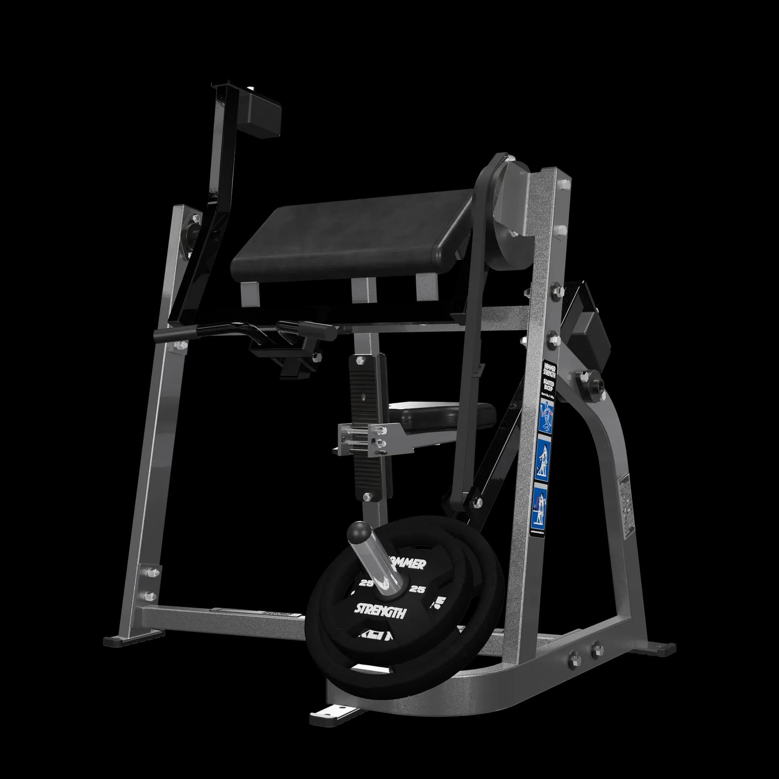 시티드 바이셉스컬